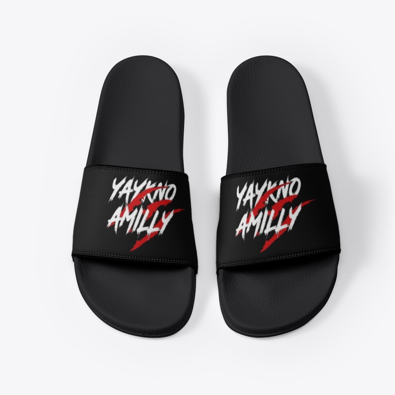 Amilly slides
