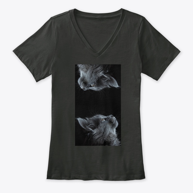 Women's Premium V-Neck Tee