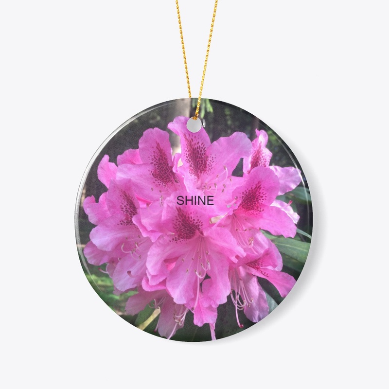 SHINE