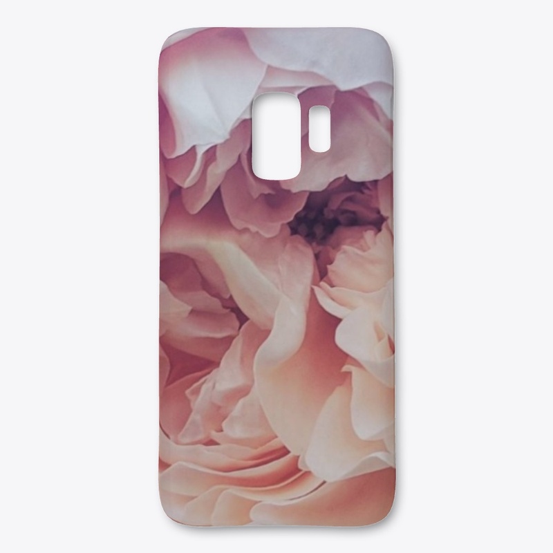 Peaches And Cream Rose