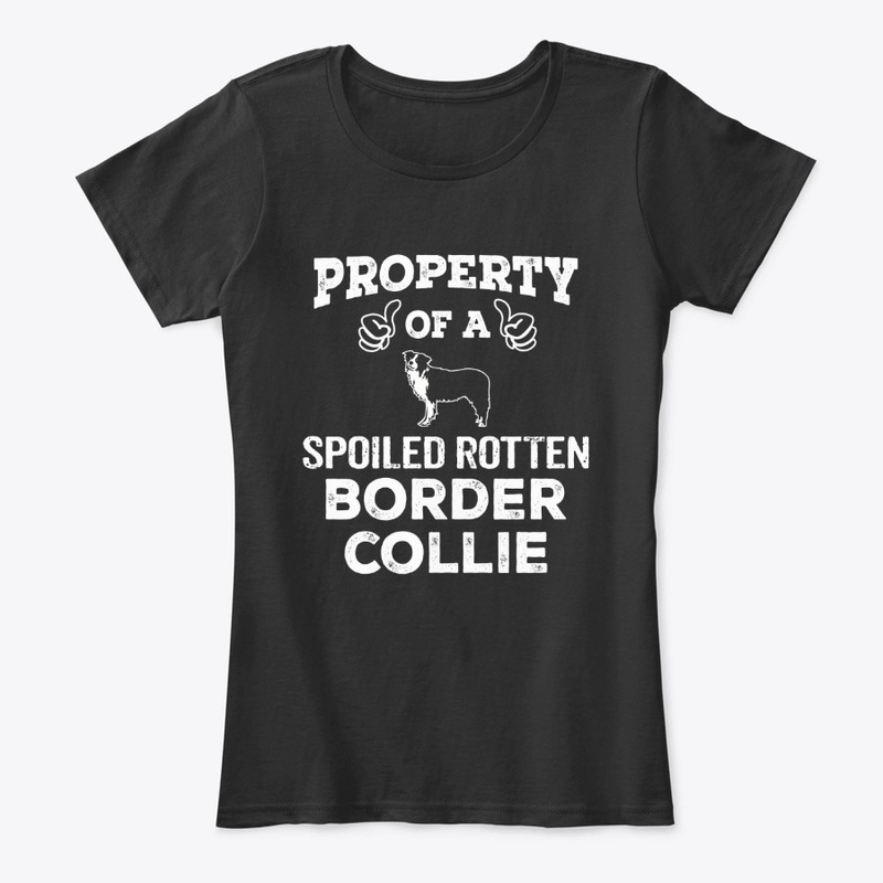 Spoiled Rotten Border Collie