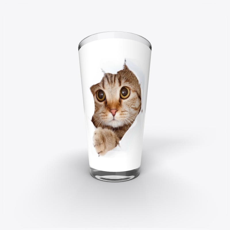Cat collection 