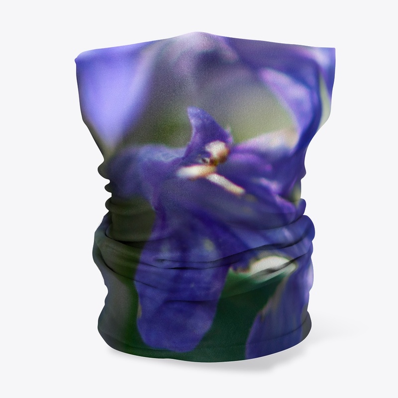 Blue and purple flowers in nature