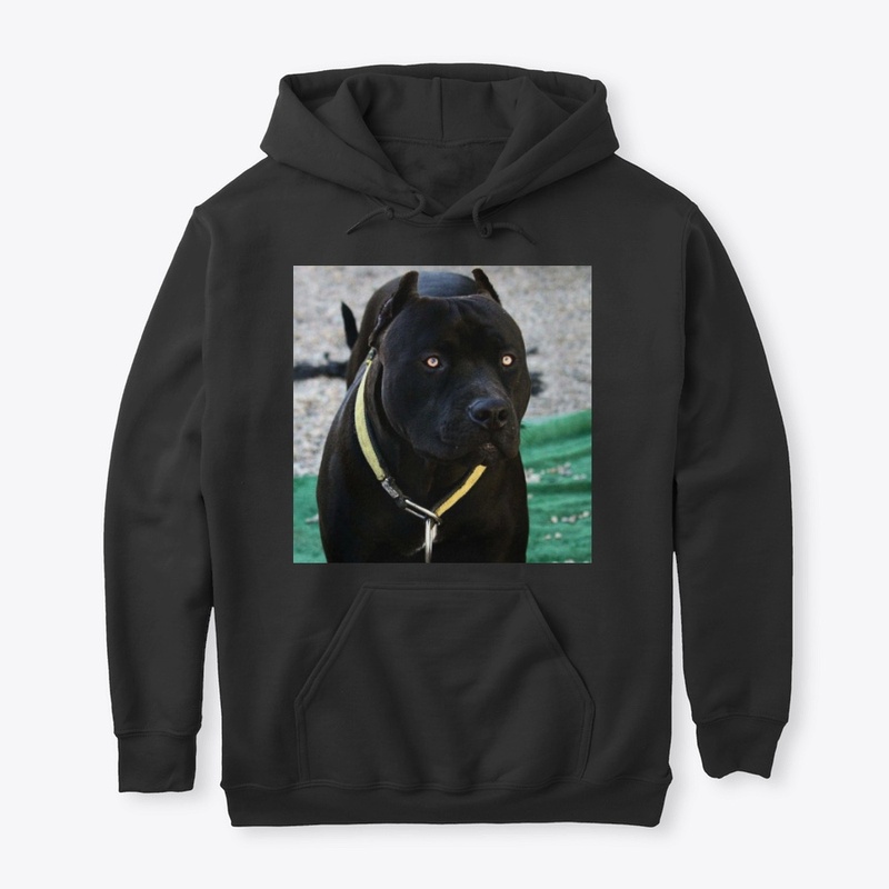 Pitbulls Black