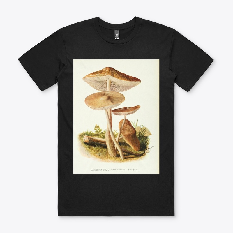 Fall Fungi