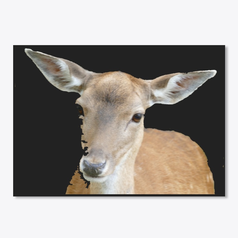 Deer of nature