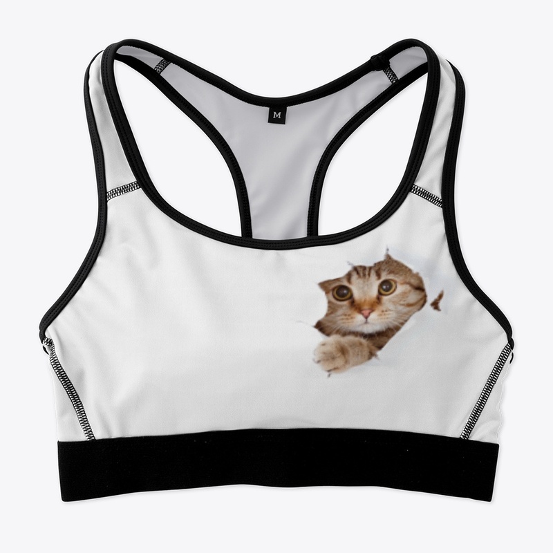 Petit chat