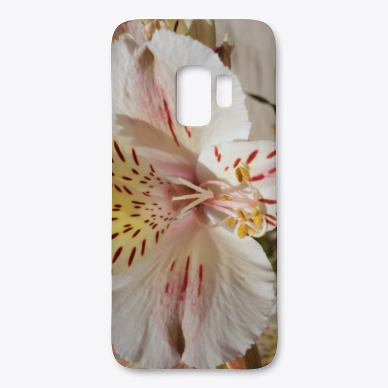 Flowers Five