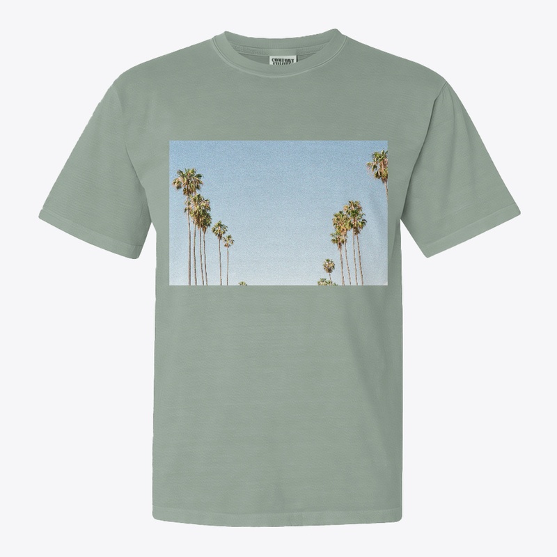 California Palms