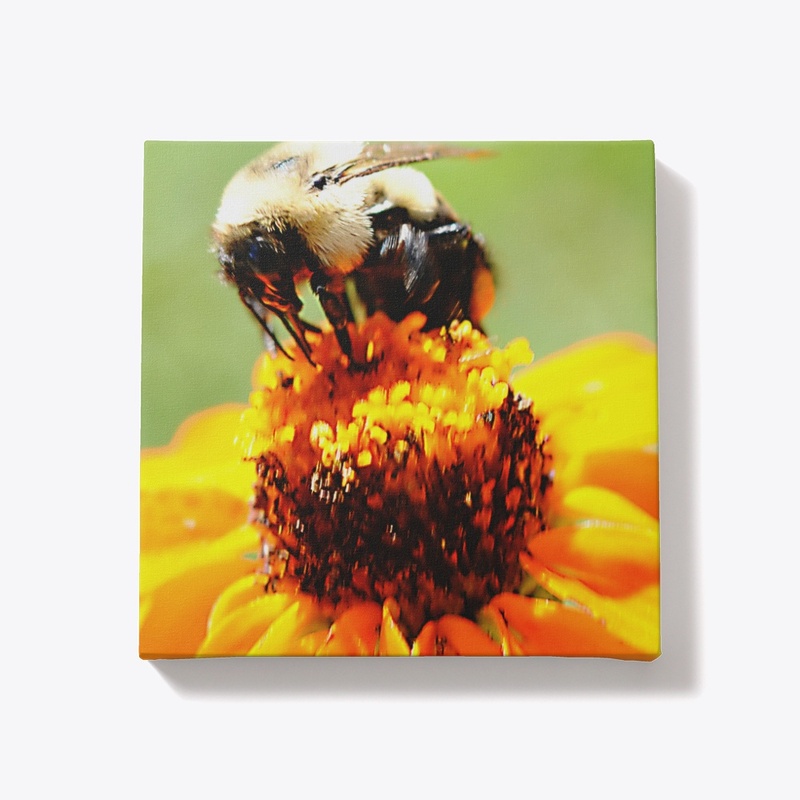 Bee On a Flower