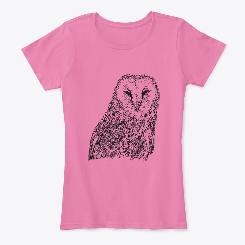 Birdwatching For Barn Owls