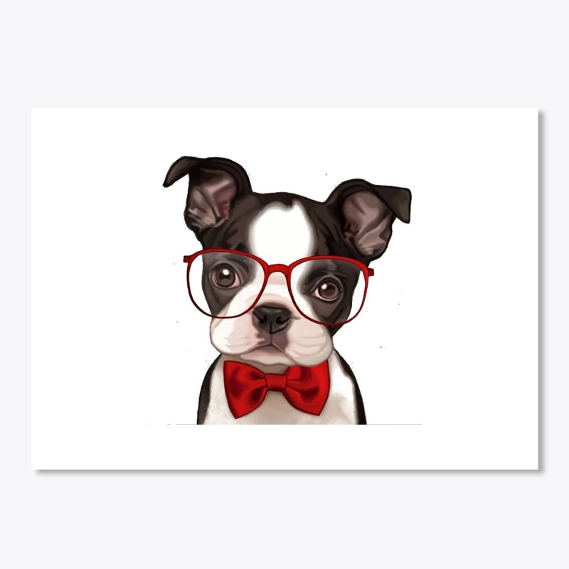 Cute French Bulldog Puppy