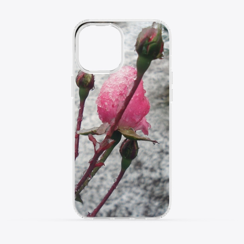 Winter rose