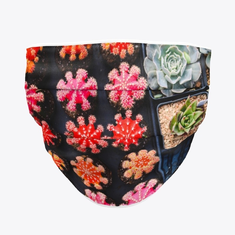 cactus de colores 