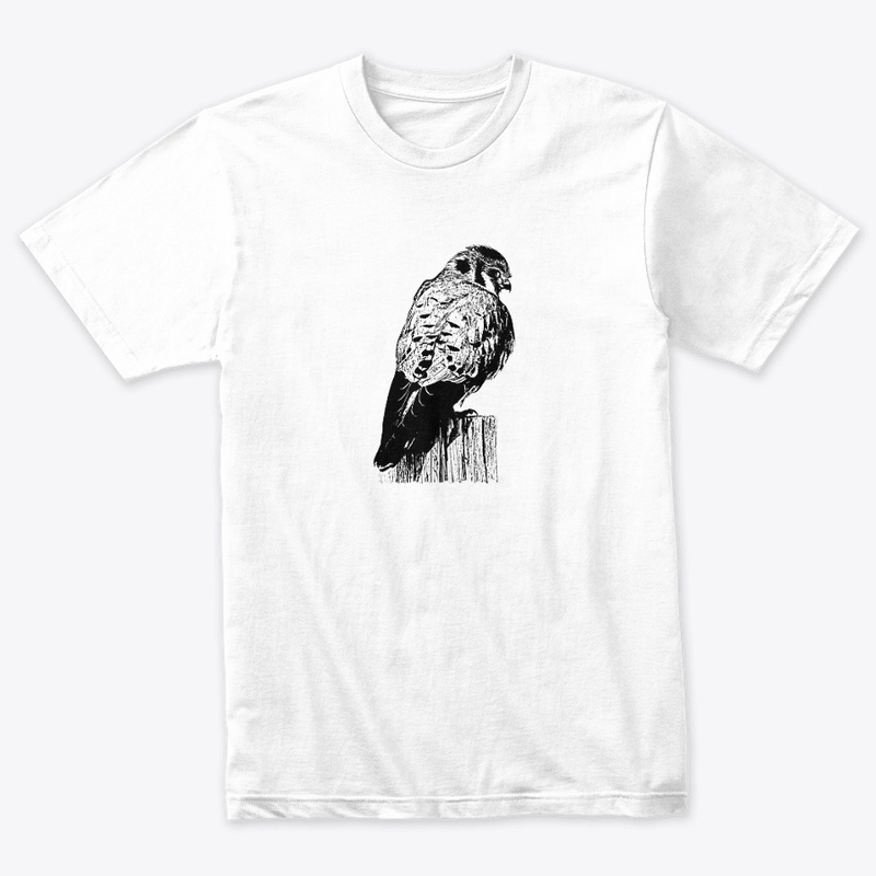 American Kestrel Birdwatching