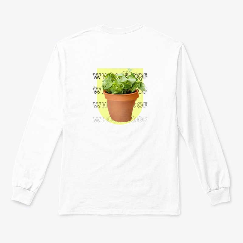 Whoaproof Ocimum basil Yellow background