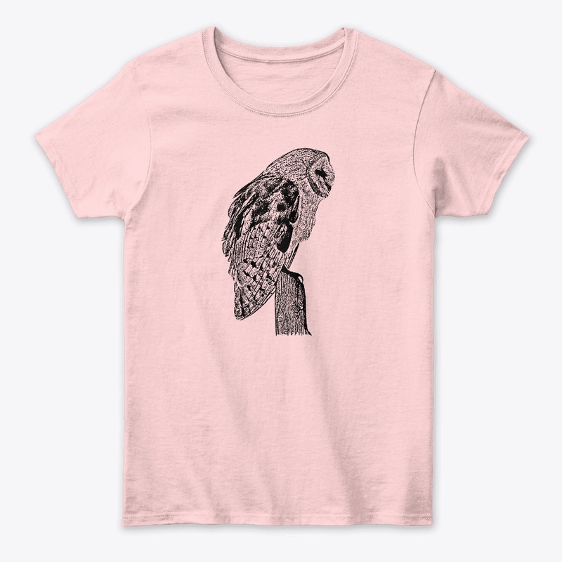 Birdwatching and Barn Owls