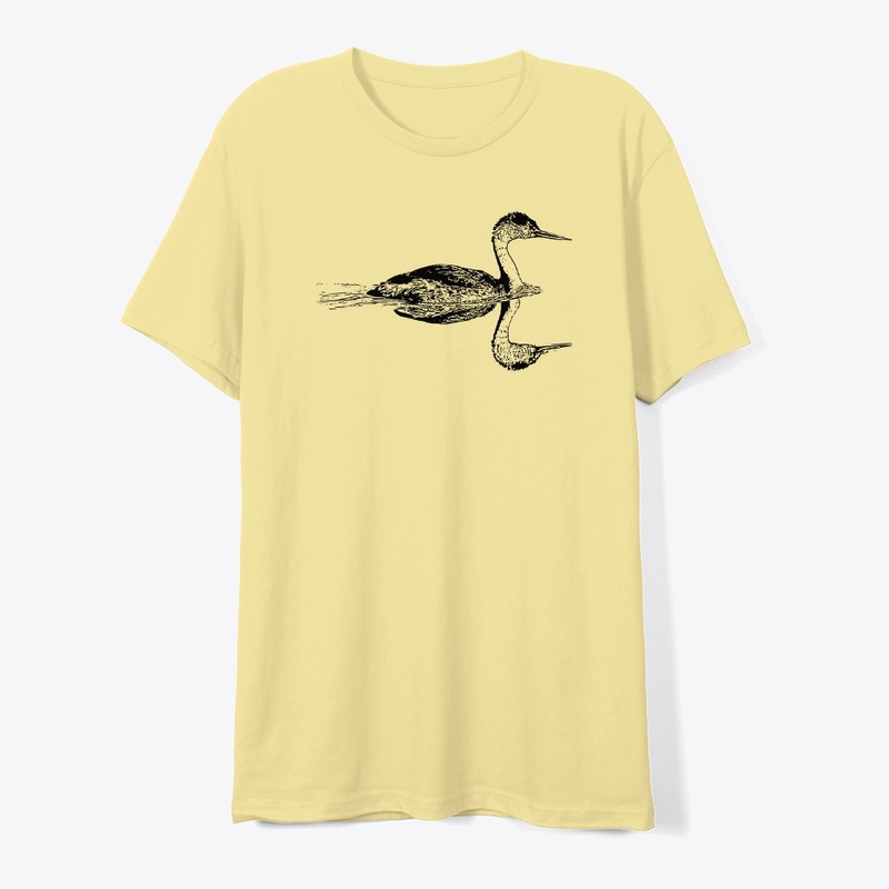 Clark's Grebe - Birdwatching