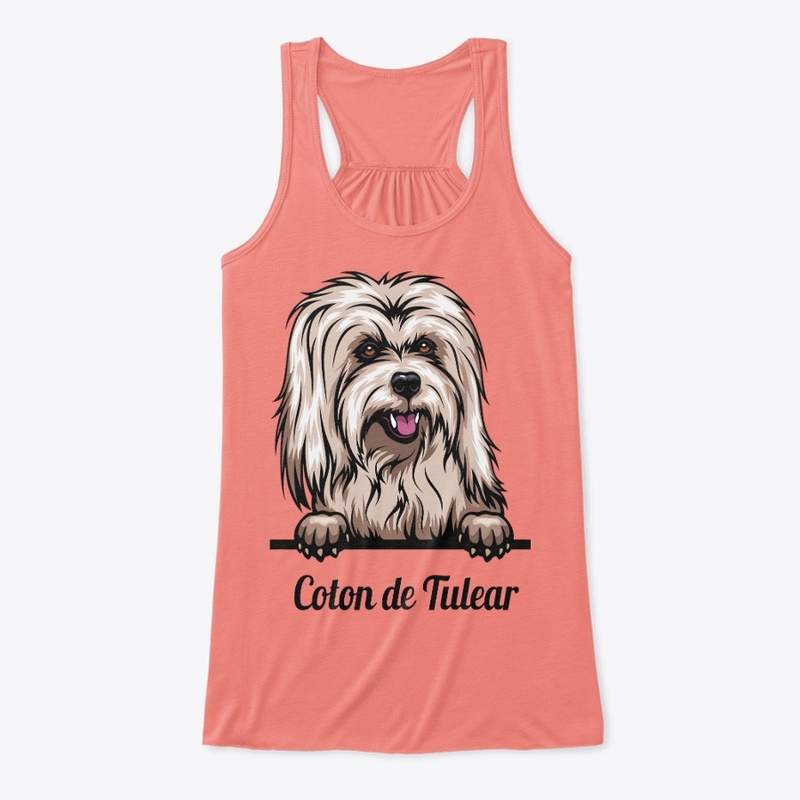 Coton de Tuléar