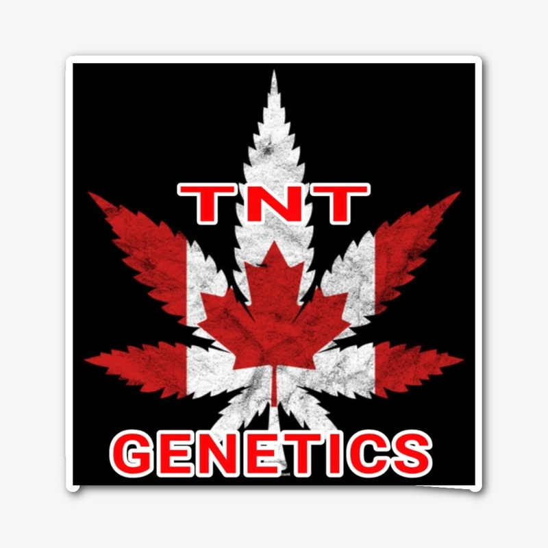 TNT GENETICS