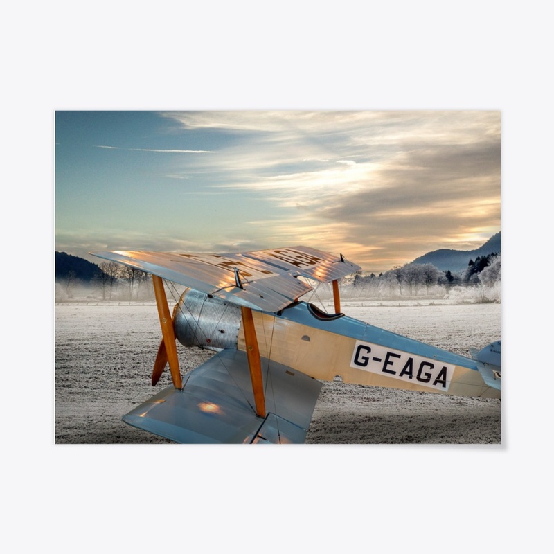 Vintage plane on a Winter morning