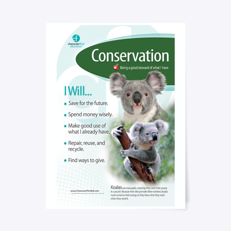 Conservation Anchor Chart
