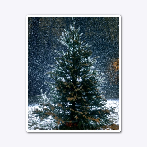 Winter Pine Standard T-Shirt Front