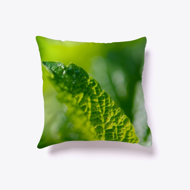 Green leaves in nature