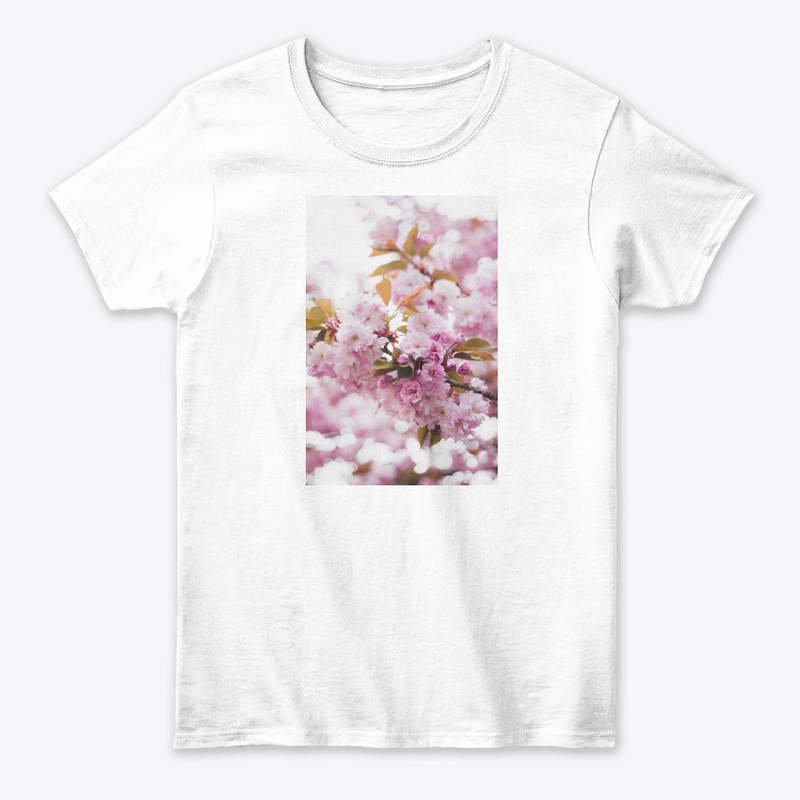 Cherry Blossoms
