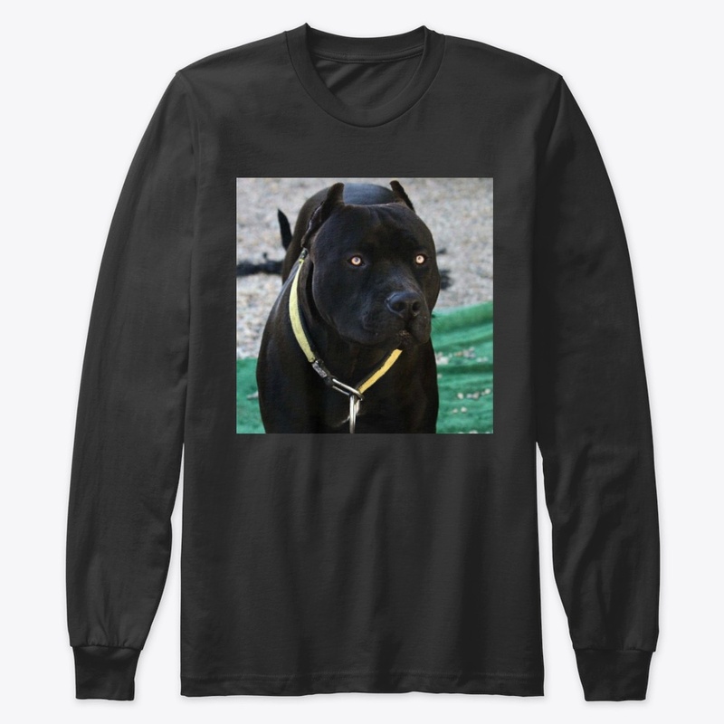 Pitbulls Black