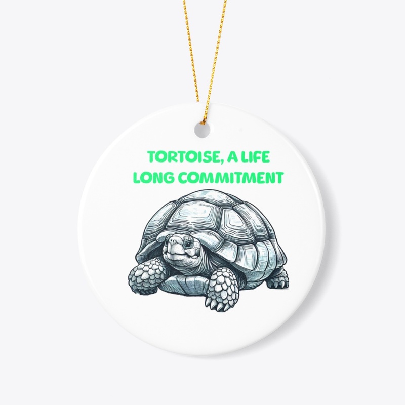 Tortoise, a Life Long Commitment.
