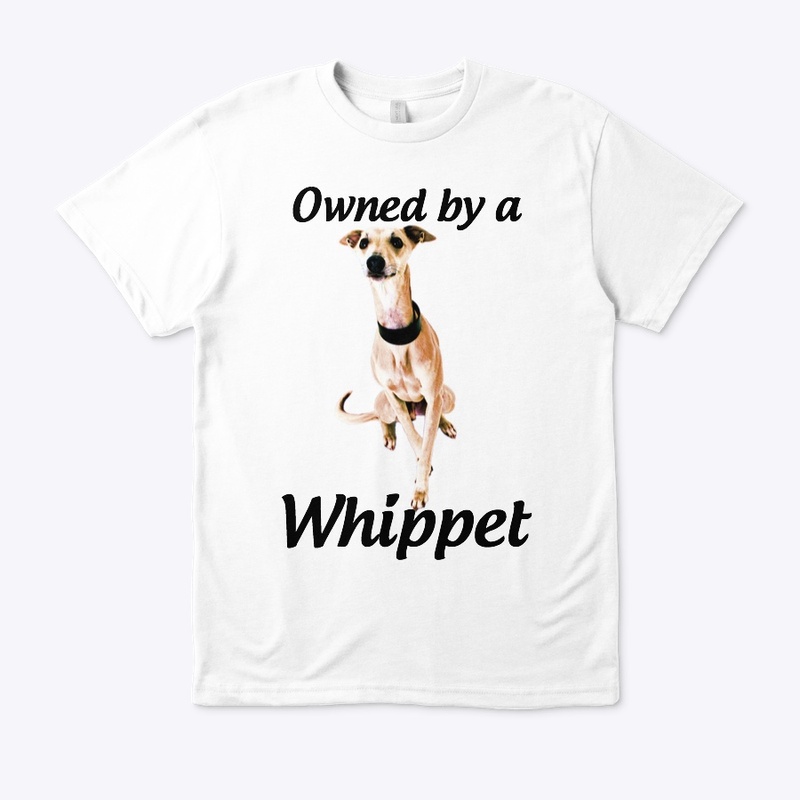 owned by a whippet dog