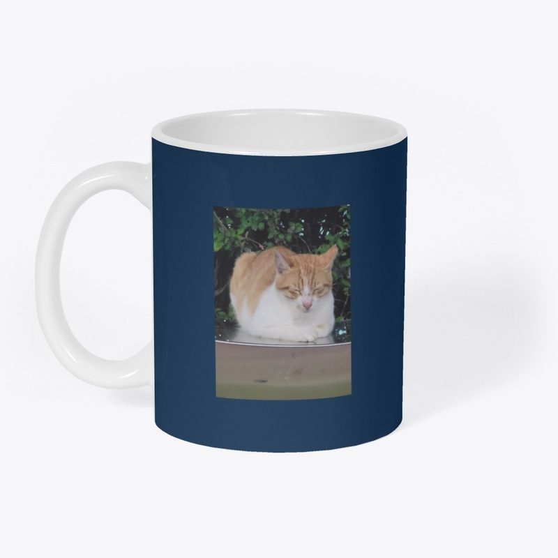 cup_sleeping cats