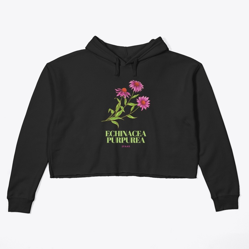 Echinacea (coneflower) Collection