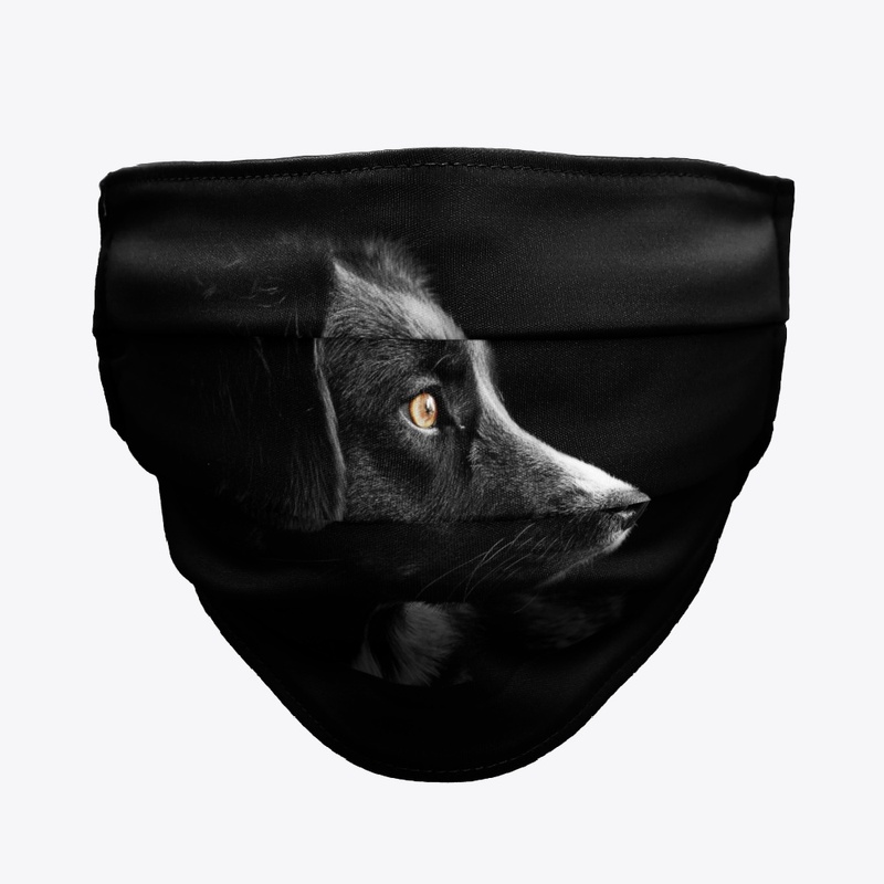 Profile of Black Dog on Black Background
