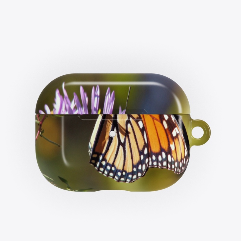 btterfly collection