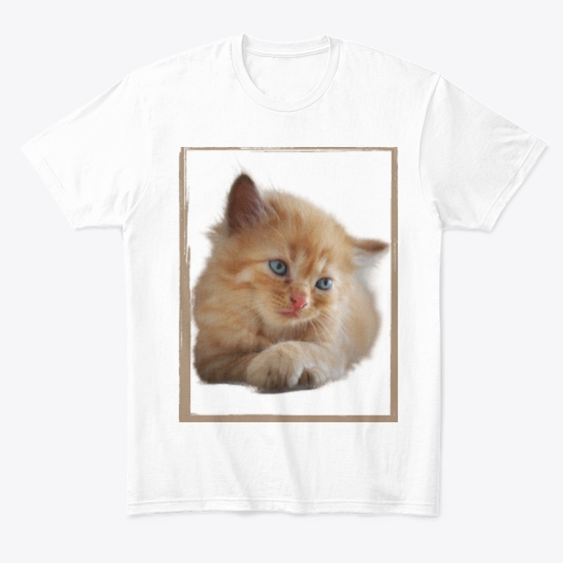  Cutee Cat