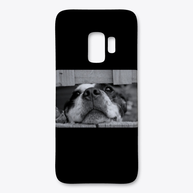 Lovely dog