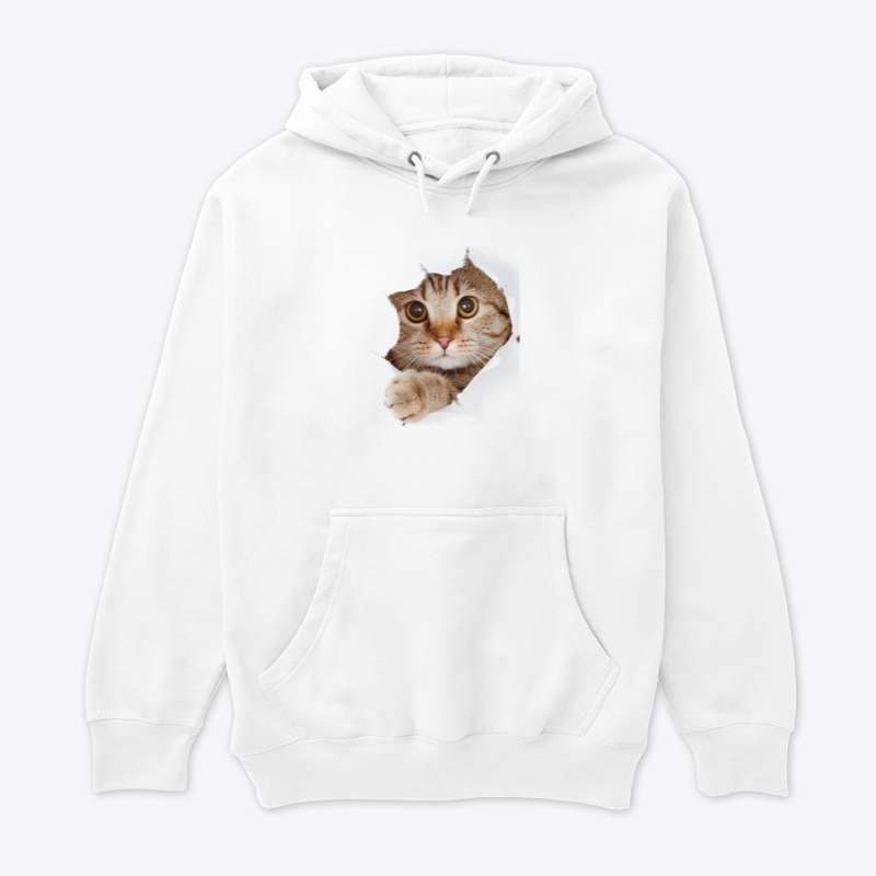Cat collection 