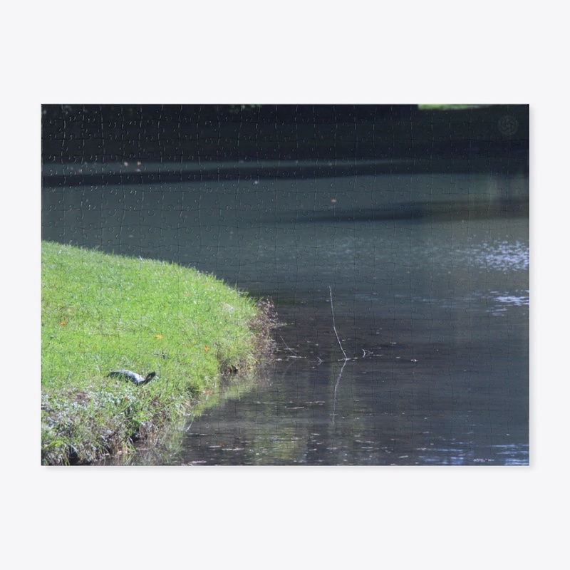 Turtle 1