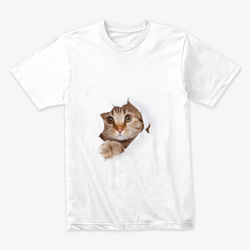Cool Cat Vibes Design