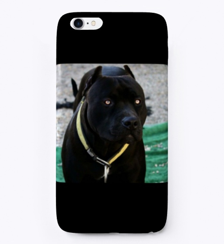 Pitbulls Black