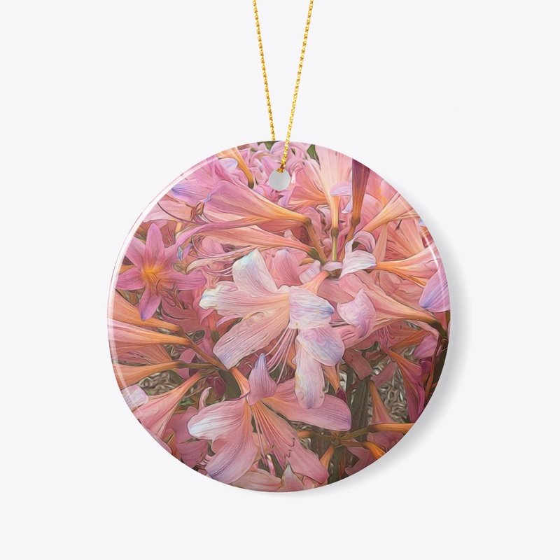 Pink Amaryllis