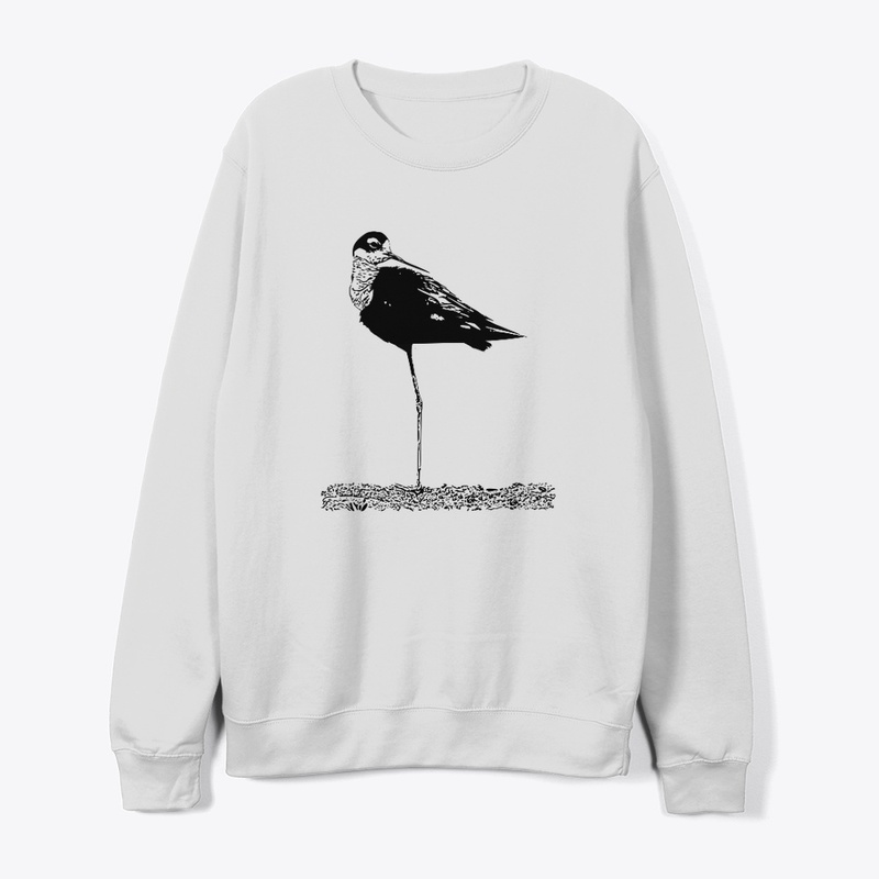 Black-necked Stilt