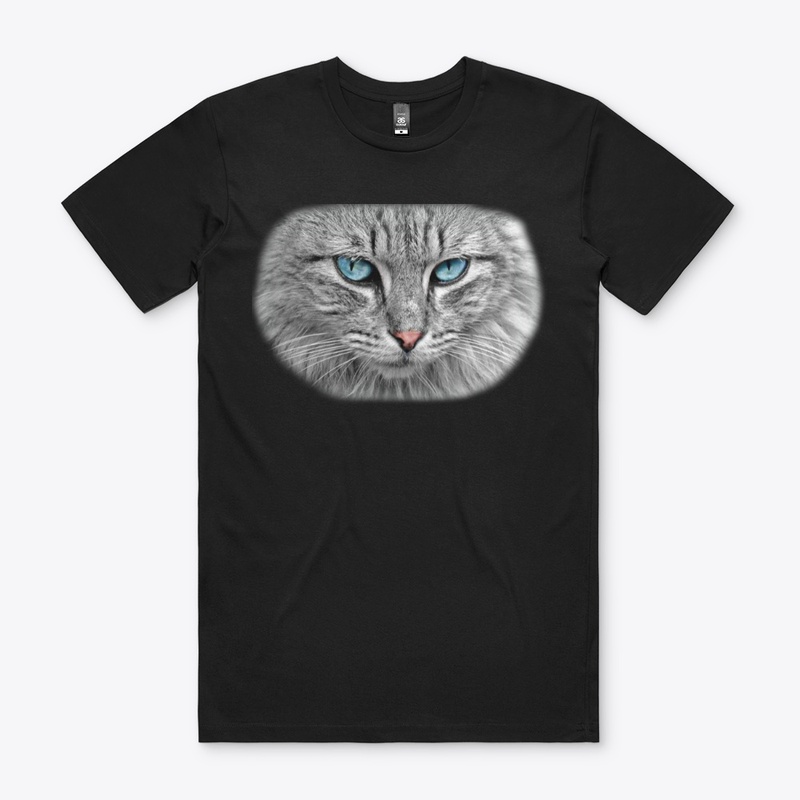 cute cat lovers