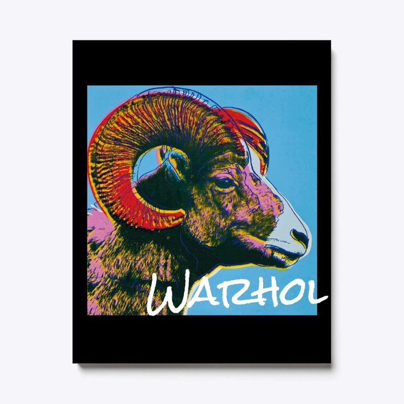 Everyday Ecofriendly Hoodie & Things