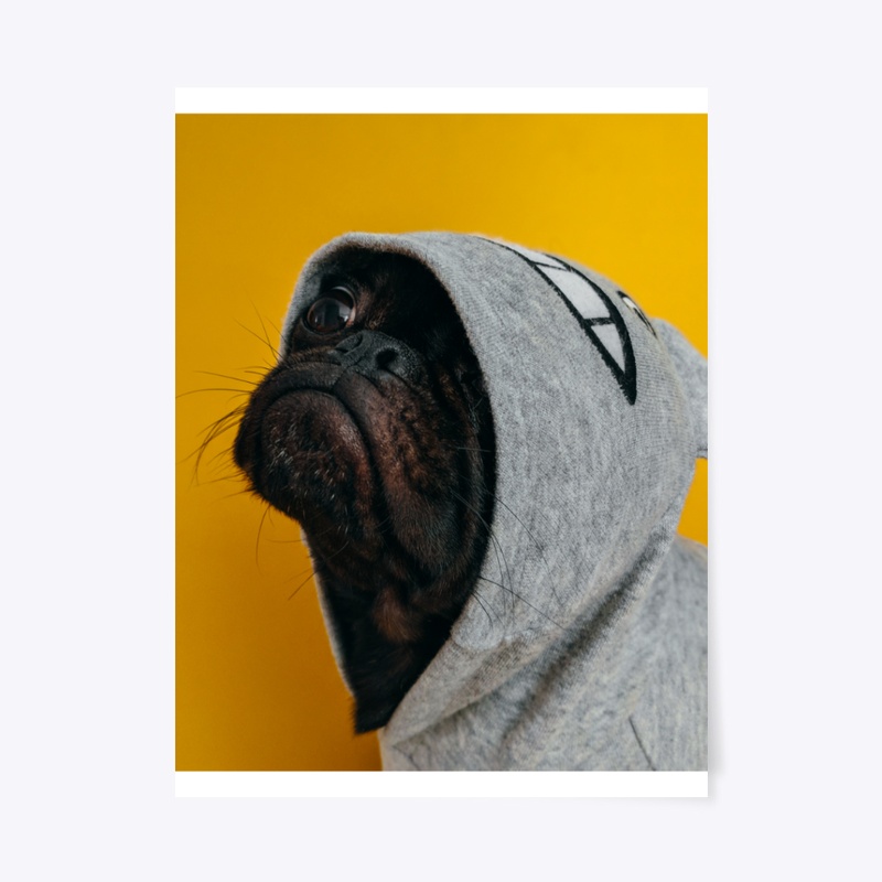 Pug-Life