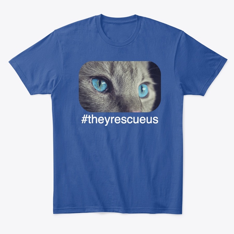 blue eyed cat navy