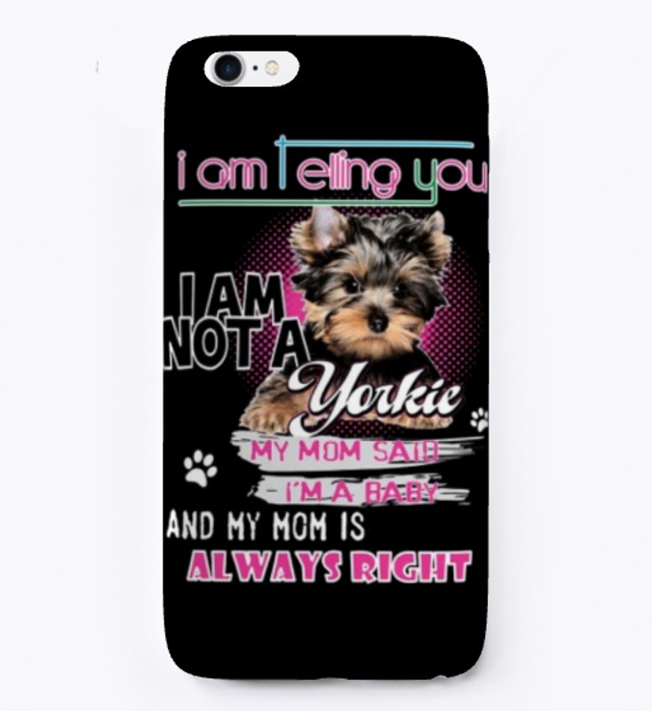 yorkie-baby2
