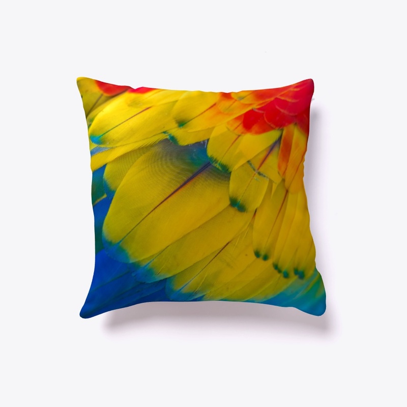 Feathers with Feather touch Cushions 